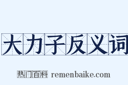 大力子反义词是什么意思的图片